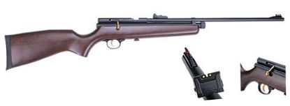 Picture of .22 QB78 CO2 Air Rifle