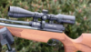 Picture of Air Arms S510 Core Beech 