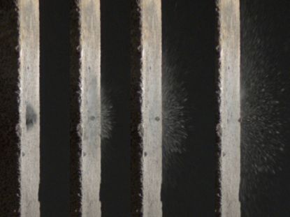 Picture of Air Venturi Dust Devil ShatterShot Catapult Ammo