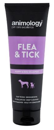 Picture of Animology Flea & Tick Shampoo for Dogs 250ml