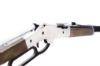 Picture of Barra 1866 Silver Cowboy Rifle Kit