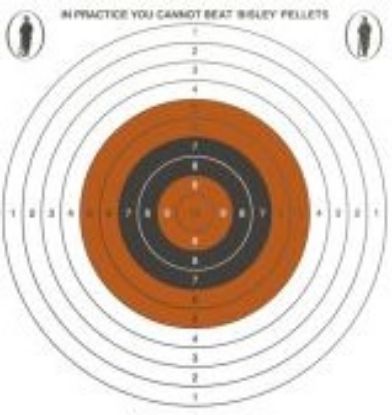 Picture of Bisley Single Card Targets 14cm x 14cm (50)