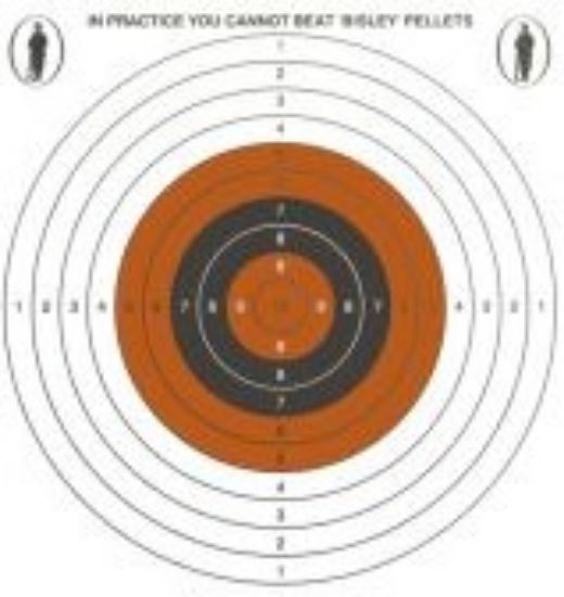 Picture of Bisley Single Card Targets 14cm x 14cm (50)