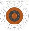 Picture of Bisley Single Card Targets 14cm x 14cm (50)