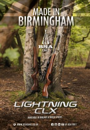 Picture of BSA Lightning CLX Walnut