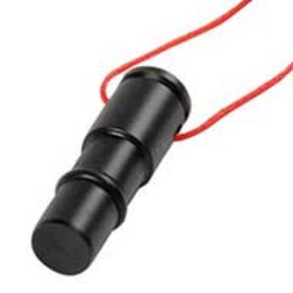 Picture of BSA R10 Port Dust Plug - Black Delrin