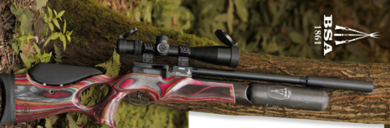 Picture of BSA R12 CLX Pro Cayenne Edition