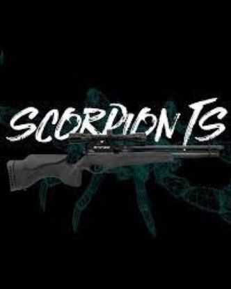 Picture of BSA Scorpion TS