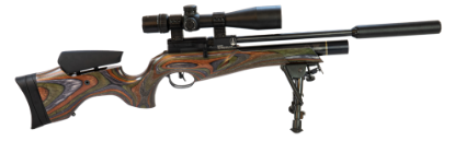 Picture of BSA Ultra Pro CLX  Wilderness Green Laminate Regged Ltd Edition