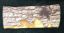 Picture of Camo Silencer Cover for air rifle mods