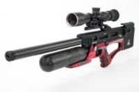 Daystate Alpha Wolf Performance