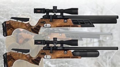 Picture of Daystate Black Wolf Walnut Hi Lite 17"