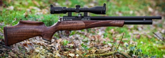 Picture of Daystate Huntsman Regal R Huma Regulated