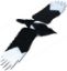 Picture of FLYING MAGPIE DECOY
