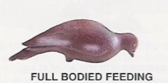 Picture of Full Bodied Pigeon Decoys