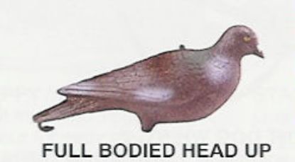 Picture of Full Bodied Pigeon Decoys