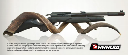 Picture of Gamo Arrow PCP Air Rifle