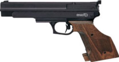 Picture of Gamo Compact