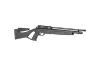 Picture of Gamo Coyote Tactical PCP Rifle