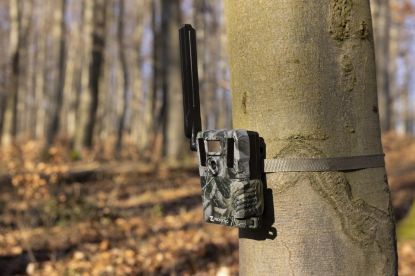 Picture of HIKMICRO M15 4G Trail Camera