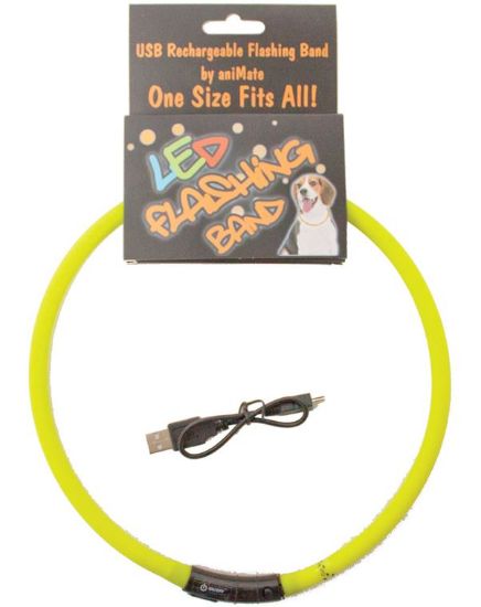 Picture of Led Flashing Dog Neck Band
