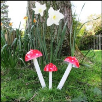 Picture of Magic Mushrooms Target By Reflex
