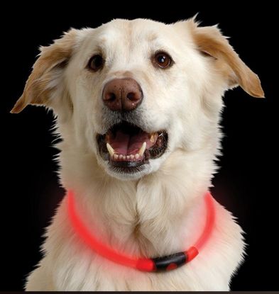 Picture of Nite Howl Red Led Dog Collar by Nite Ize