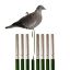 Picture of Premium Compact Lofting Poles