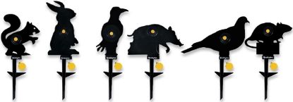 Picture of Remington Hog Shoot & Reset Target