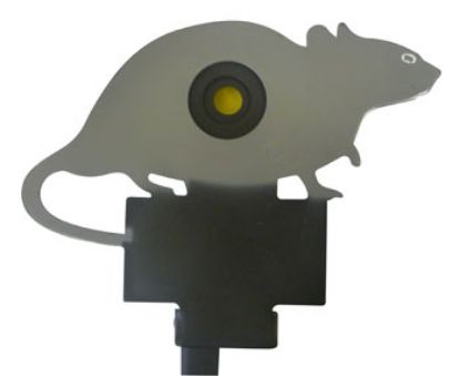 Picture of Remington Rat Knock Down stake Target