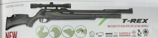 Picture of Remington T-Rex Air Rifle