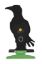 Picture of Remmington Crow KnockDown Target for Air Rifles.