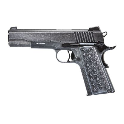Picture of Sig Sauer 1911 We The People Steel BB