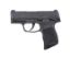 Picture of Sig Sauer P365 Co2 AIr Pistol