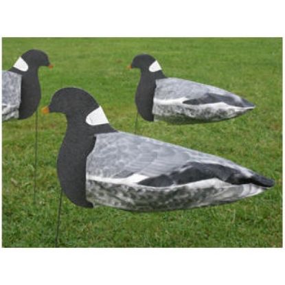 Picture of Sillosocks Pigeon Harvester Decoy 12 Pack