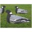 Picture of Sillosocks Pigeon Harvester Decoy 12 Pack