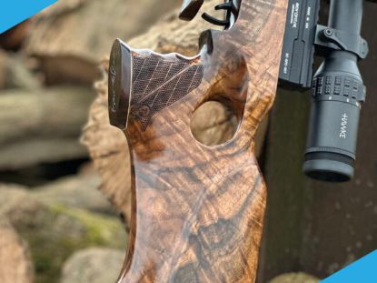 Picture of Theoben Rapid Ben Taylor Limited Edition