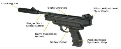 Picture of Webley Typhoon Spring Air Pistol 