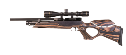 Picture of Weihrauch HW100 Laminate Karbine