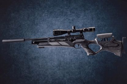 Picture of Weihrauch HW110 Laminate Adjustable