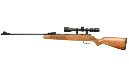 Picture of Winchester Model 55RS Air Rifle .22
