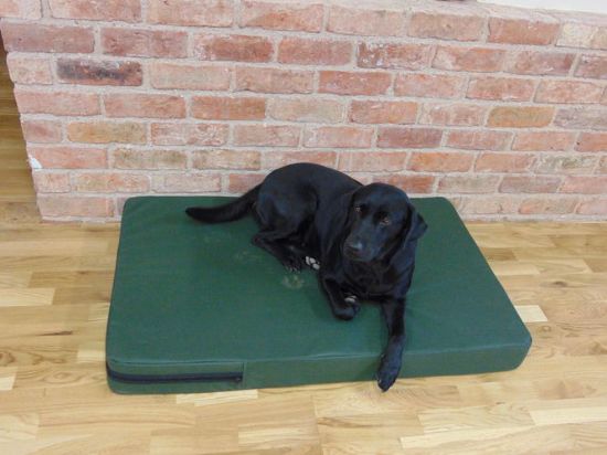 Picture of Winslow Dog Bed