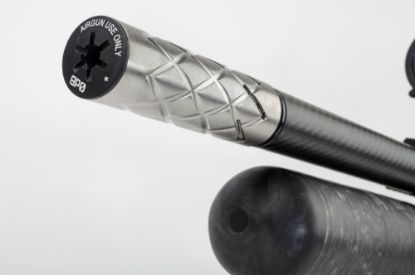 Picture of Daystate Alpha Wolf Carbon