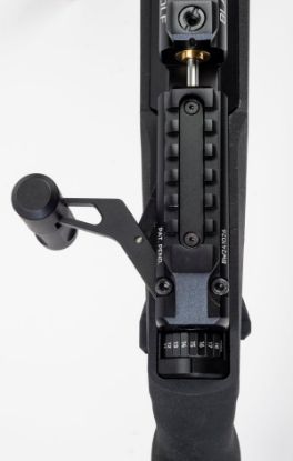 Picture of Daystate Black Wolf Zero