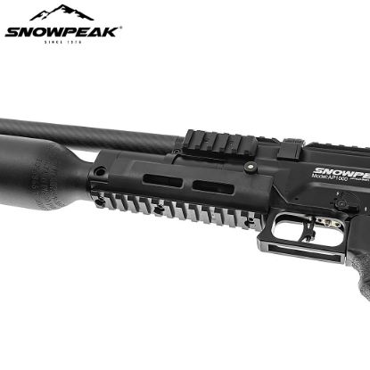 Picture of Snowpeak AP1000B
