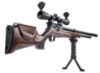 Picture of AirForceOne FirstStrike PCP