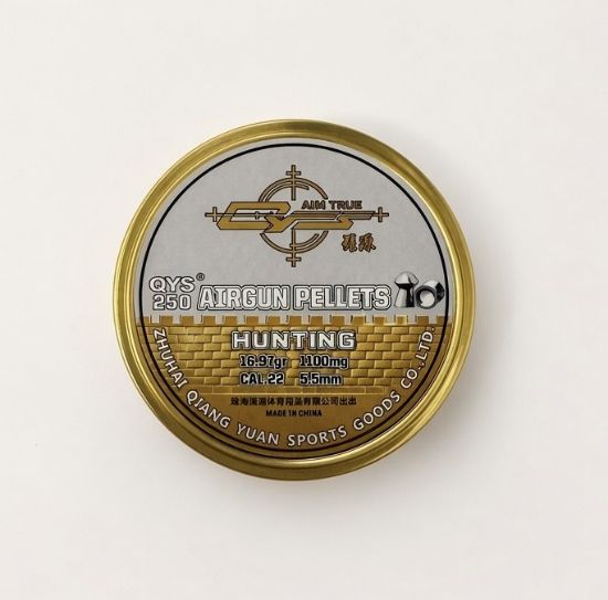 Picture of QYS Domed .22 5.52 16.97gr Pellets