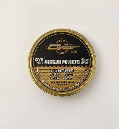 Picture of QYS Domed .22 5.52 20.06gr Pellets