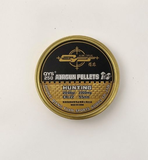 Picture of QYS Domed .22 5.52 20.06gr Pellets x 10 Tins