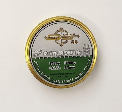 Picture of QYS Domed Slug .22 5.50 27.32gr